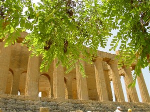 Agrigento – Valley of the Temples